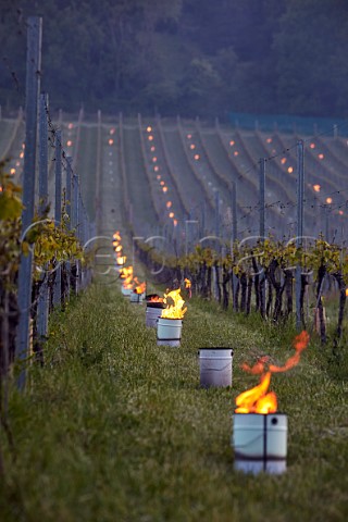 Candles burning on a frosty spring morning at Albury Vineyard Silent Pool Albury Surrey England