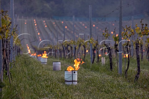 Candles burning on a frosty spring morning at Albury Vineyard Silent Pool Albury Surrey England