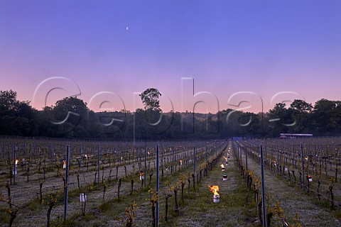 Candles burning on a frosty spring morning at Albury Vineyard Silent Pool Albury Surrey England