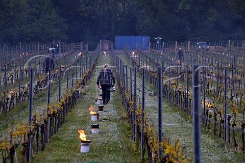 Candles burning on a frosty spring morning at Albury Vineyard Silent Pool Albury Surrey England