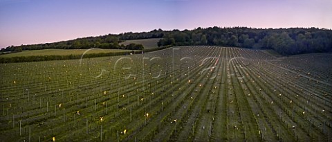 Candles burning on a frosty spring morning at Albury Vineyard Silent Pool Albury Surrey England