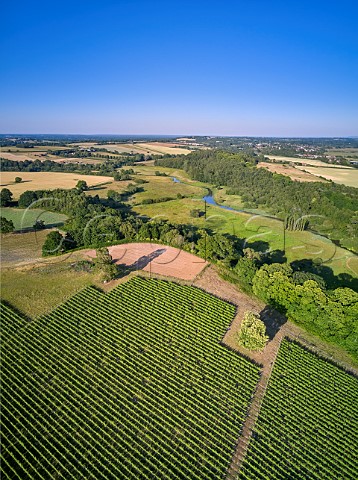 Vineyard of Stopham Estate with the River Arun beyond Stopham Sussex England