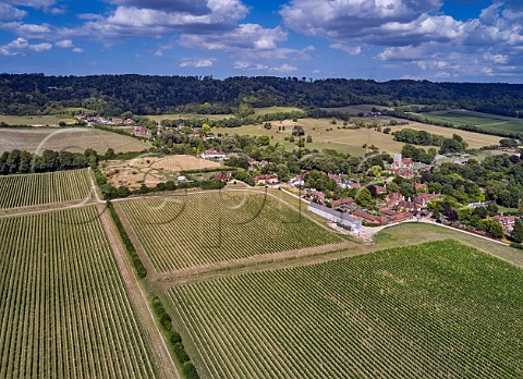 Street Farm Vineyard of Chapel Down with the North Downs beyond Boxley Kent England