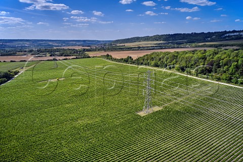 Kits Coty Vineyard of Chapel Down with the North Downs beyond Aylesford Kent England