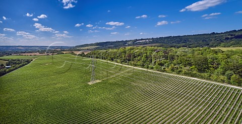 Kits Coty Vineyard of Chapel Down with the North Downs beyond Aylesford Kent England