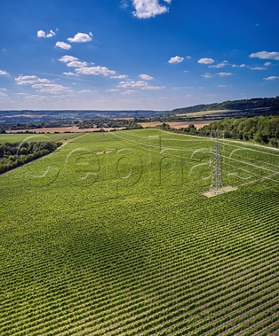 Kits Coty Vineyard of Chapel Down with the North Downs beyond Aylesford Kent England