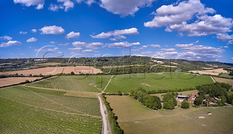 Kits Coty Vineyard of Chapel Down with the North Downs beyond Aylesford Kent England