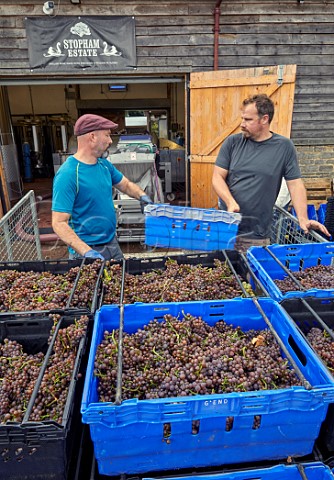 Matt Borsay left and Tom Bartlett unloading Pinot Gris grapes at the winery of Stopham Estate  Stopham Sussex England