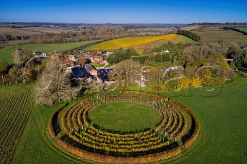 Black Chalk Winery with Circle Vineyard in foreground and Rivers Vineyard beyond Fullerton Hampshire England