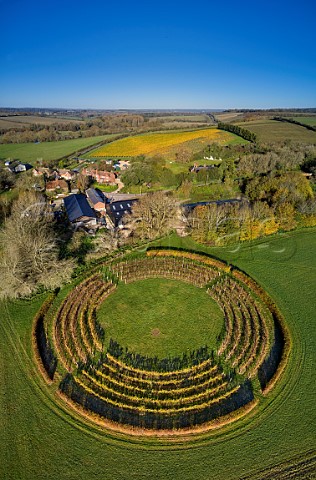 Black Chalk Winery with Circle Vineyard in foreground and Rivers Vineyard beyond Cottonworth Hampshire England
