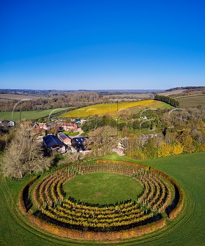 Black Chalk Winery with Circle Vineyard in foreground and Rivers Vineyard beyond Fullerton Hampshire England