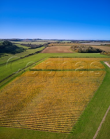 Hide Vineyard of Black Chalk Fullerton Hampshire England