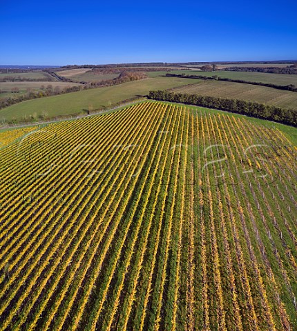 Rivers Vineyard of Black Chalk Fullerton Hampshire England