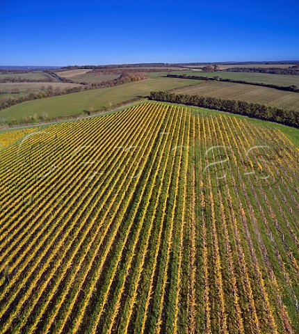 Rivers Vineyard of Black Chalk Fullerton Hampshire England