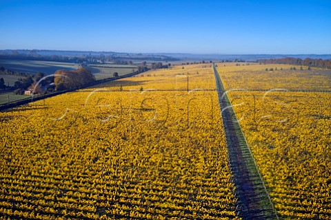 Chalk Vale Vineyard of Nyetimber Stockbridge Hampshire England