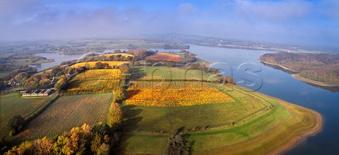 Hazelhurst Farm Vineyard of Roebuck Estates surrounded by Bewl Water Ticehurst Sussex England