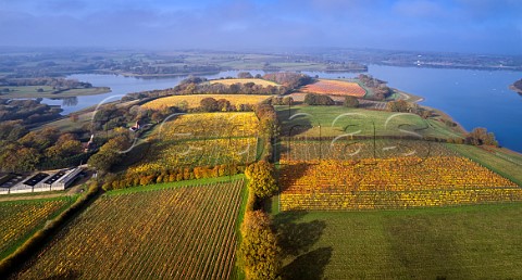 Hazelhurst Farm Vineyard of Roebuck Estates surrounded by Bewl Water Ticehurst Sussex England