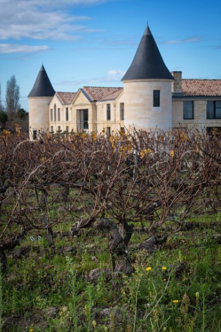 Vineyard at Chteau Tour SaintFort StEstephe Gironde France  Mdoc  Bordeaux