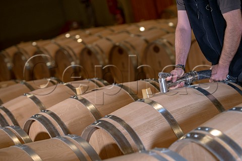 Cyril Meyrou filling new oak barriques in the cellar of Chteau Richelieu Fronsac Gironde France   Fronsac  Bordeaux