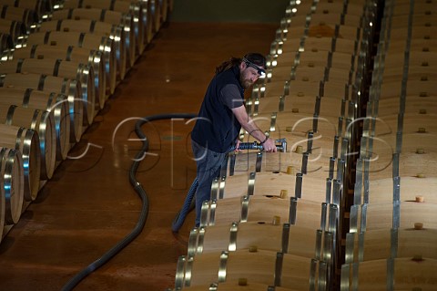 Cyril Meyrou filling new oak barriques in the cellar of Chteau Richelieu Fronsac Gironde France   Fronsac  Bordeaux