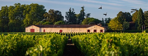 Vineyard and chai of Chteau Brown  Lognan Gironde France Bordeaux  PessacLognan