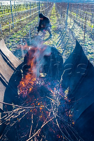 Burning vine prunings in a wheeled incinerator Stmilion Gironde France Saintmilion  Bordeaux