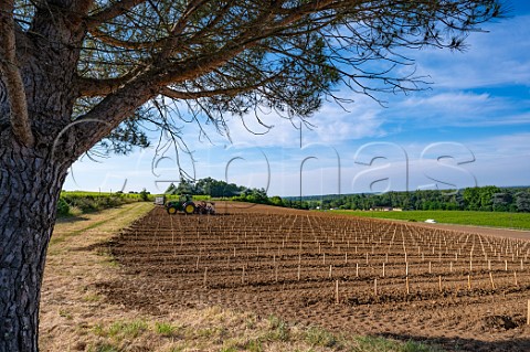 Planting new vineyard using a laserguided tractor Chteau de PailletQuancard Paillet Gironde France Cadillac  Ctes de Bordeaux
