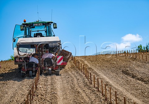 Planting new vineyard using a laserguided tractor Chteau de PailletQuancard Paillet Gironde France Cadillac  Ctes de Bordeaux