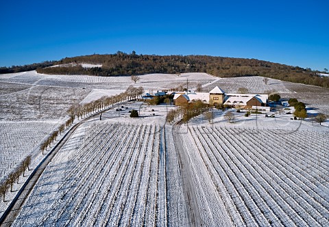 Snowcovered vineyards of Denbies Wine Estate with winery and visitor centre Dorking Surrey England
