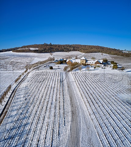 Snowcovered vineyards of Denbies Wine Estate with winery and visitor centre Dorking Surrey England