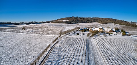 Snowcovered vineyards of Denbies Wine Estate with winery and visitor centre Dorking Surrey England
