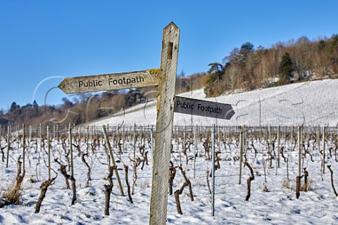 Public footpath signpost in snowcovered vineyards of Denbies Wine Estate Dorking Surrey England