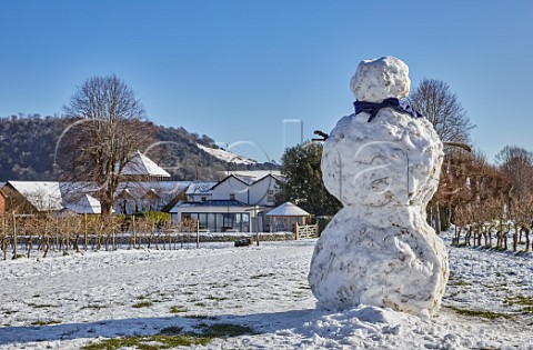 Snowman in vineyards of Denbies Wine Estate with winery visitor centre and hotel beyond Dorking Surrey England