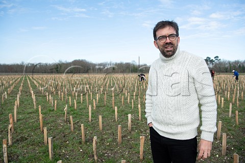 Loic Pasquet and his workers planting ungrafted vines in new vineyard of Liber Pater  Landiras Gironde France Graves  Bordeaux