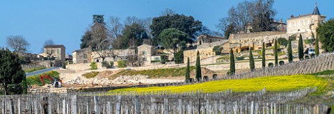 Earthworks to install drainage in Clos la Madeleine vineyard below Chteau BlairMonange Stmilion Gironde France Saintmilion  Bordeaux