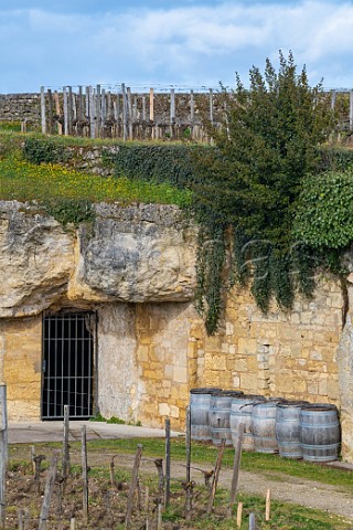 Limestone in vineyard of Chteau BelairMonange Saint milion Gironde France Stmilion  Bordeaux