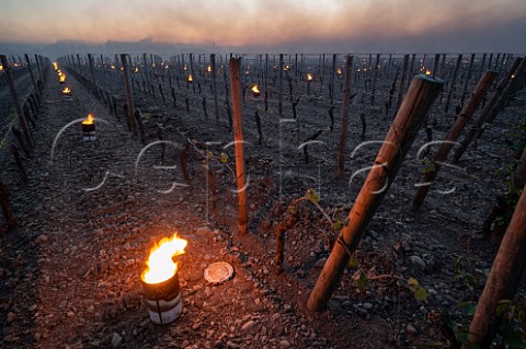 Candles burning in vineyard at dawn during subzero temperatures of 7 April 2021 Pomerol Gironde France Pomerol  Bordeaux