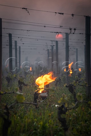 Smoke from candles burning in vineyard at dawn during subzero temperatures of 7 April 2021 Pomerol Gironde France Pomerol  Bordeaux