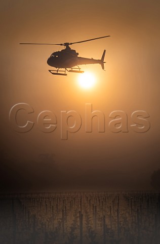 Helicopter being used to circulate warmer air and prevent frost damage to vineyard in subzero spring temperatures of 7 April 2021 Chteau Laroze Stmilion Gironde France Saintmilion  Bordeaux