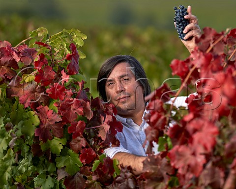 Marcelo Garca winemaker in Carmenre vineyard of Terranoble Colchagua Valley Chile