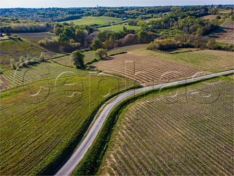 Vineyards in spring at Omet Near Cadillac Gironde France  EntreDeuxMers  Bordeaux