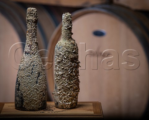 Domaine de Cassard Cuve Marine  bottles of Crmant de Bordeaux and Blaye Ctes de Bordeaux after 8months aging underwater in an oyster bed off the Normandy coast SaintCierssurGironde Gironde France