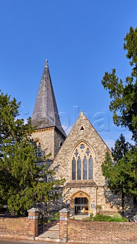 St Marys Church and its ancient Yew trees  East Molesey Surrey UK