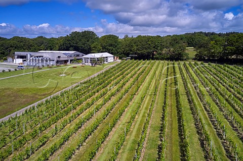 Winery and visitor centre of Gusbourne viewed over Boot Hill vineyard Appledore Kent England