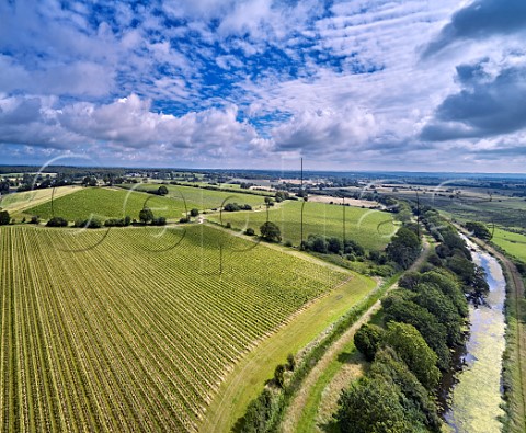 Vineyards of Gusbourne by the Royal Military Canal with Romney Marsh to the right Appledore Kent England