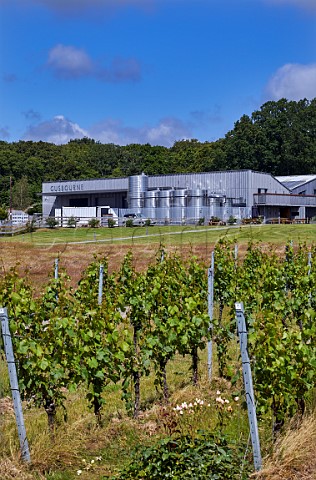 Winery of Gusbourne viewed over Boot Hill vineyard Appledore Kent England