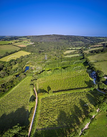 Camel Valley Vineyard Bobs Vineyard Seyval Blanc in right foreground Annies Vineyard Seyval Blanc below the tasting room and Darnibole Bacchus beyond Nanstallon Cornwall England