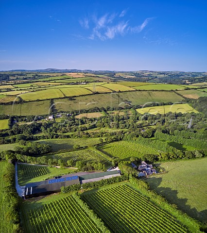 Camel Valley Vineyard and winery with blocks of Pinot Noir and Chardonnay in foreground and Seyval Blanc beyond Nanstallon Cornwall England