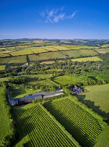 Camel Valley Vineyard and winery with blocks of Pinot Noir and Chardonnay in foreground and Seyval Blanc beyond Nanstallon Cornwall England