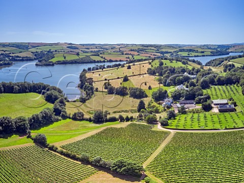 Vineyards of Sandridge Barton Wines with the River Dart beyond Stoke Gabriel Devon England